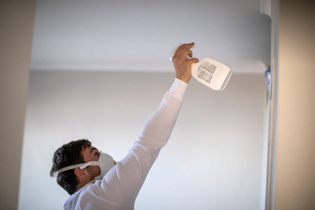 Best HVAC Mold Remediation in Dexter, NM